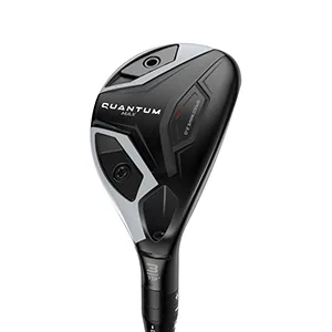 Quantum Max Hybrid