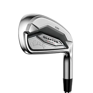 Quantum Max Irons